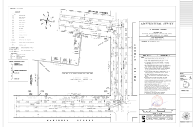 71 White Street Survey